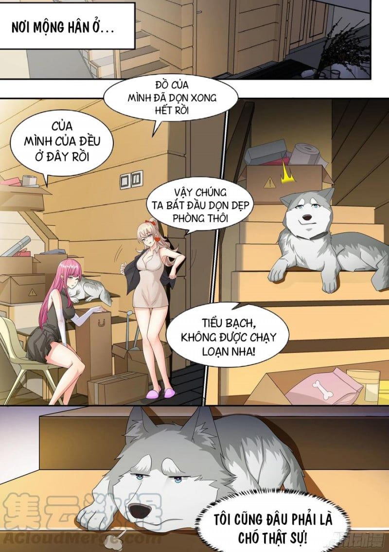 đọc truyện Trọng Sinh Thành Chó Của Nữ Thần Chương 7 ảnh 9 tại Thiên Thai Truyện