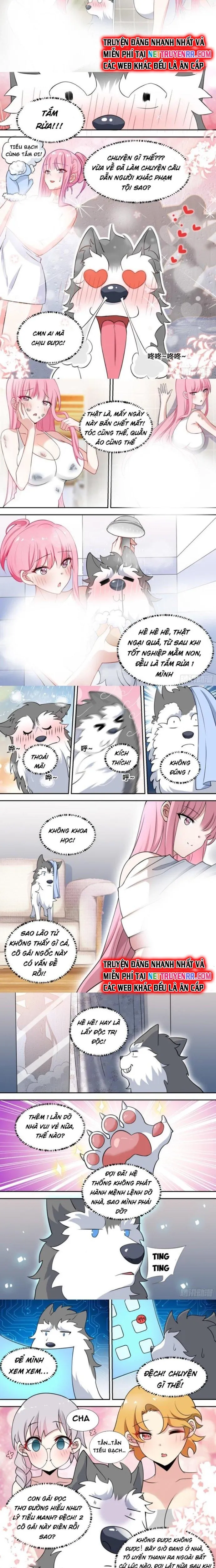 đọc truyện Trọng Sinh Thành Chó Của Nữ Thần Chương 81 ảnh 4 tại Thiên Thai Truyện