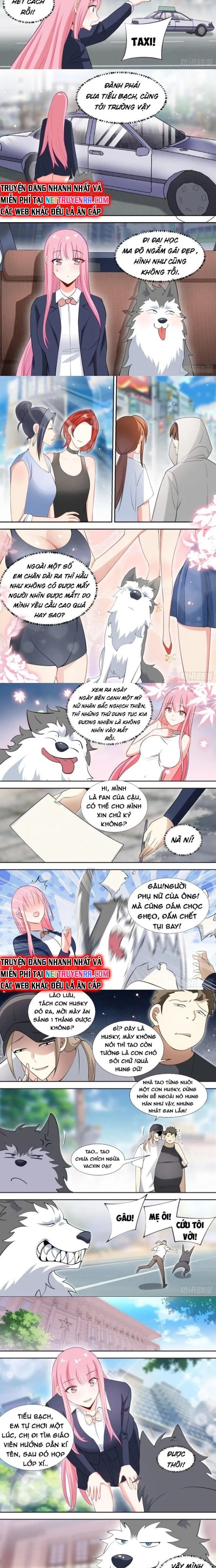 đọc truyện Trọng Sinh Thành Chó Của Nữ Thần Chương 87 ảnh 4 tại Thiên Thai Truyện