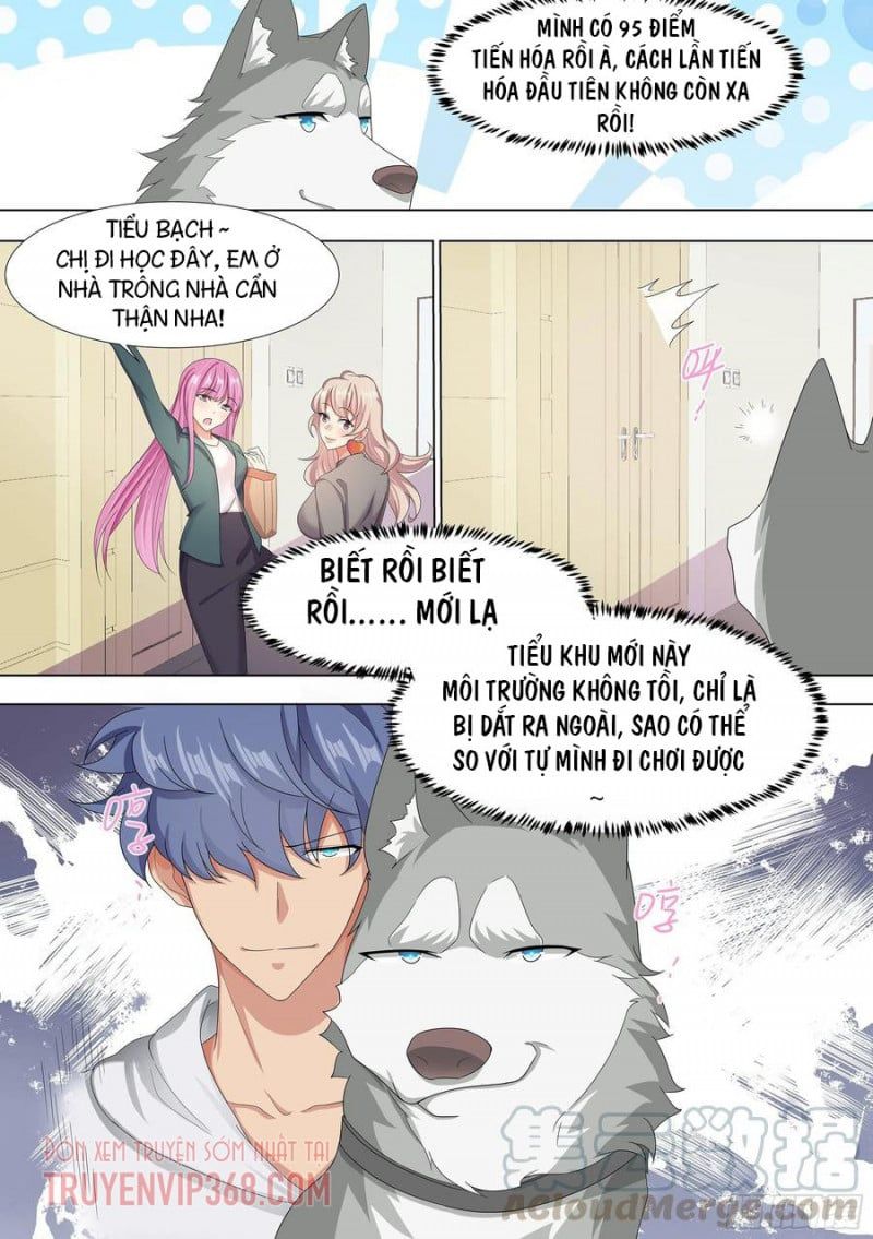 đọc truyện Trọng Sinh Thành Chó Của Nữ Thần Chương 9 ảnh 13 tại Thiên Thai Truyện