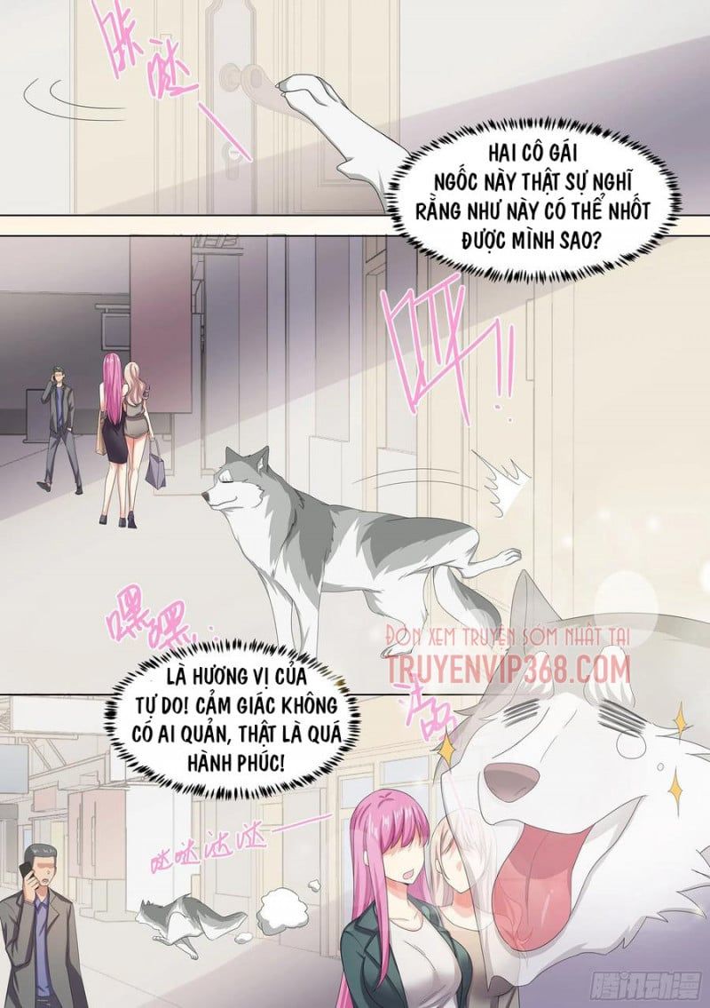 đọc truyện Trọng Sinh Thành Chó Của Nữ Thần Chương 9 ảnh 14 tại Thiên Thai Truyện