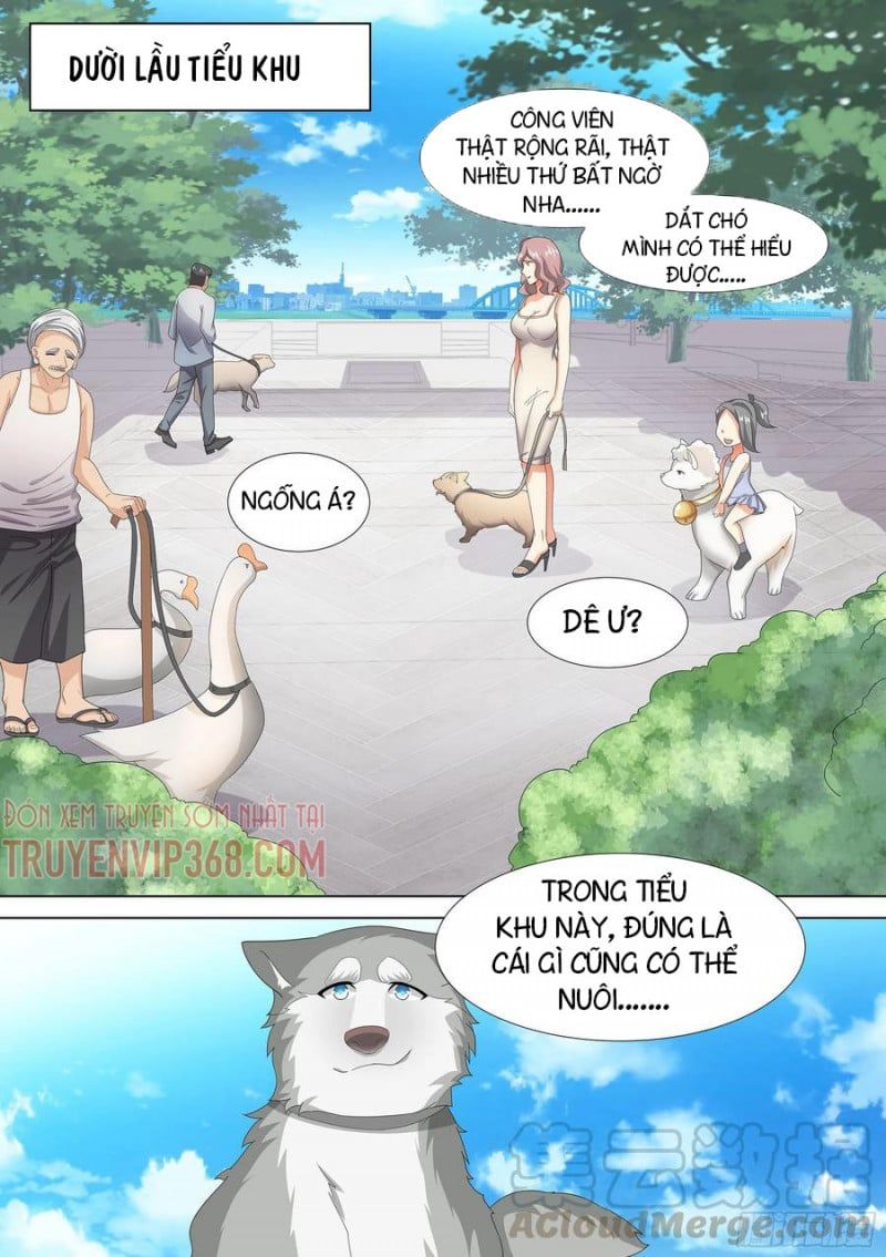 đọc truyện Trọng Sinh Thành Chó Của Nữ Thần Chương 9 ảnh 15 tại Thiên Thai Truyện