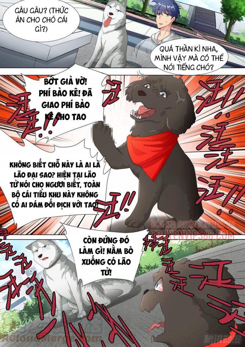 đọc truyện Trọng Sinh Thành Chó Của Nữ Thần Chương 9 ảnh 17 tại Thiên Thai Truyện