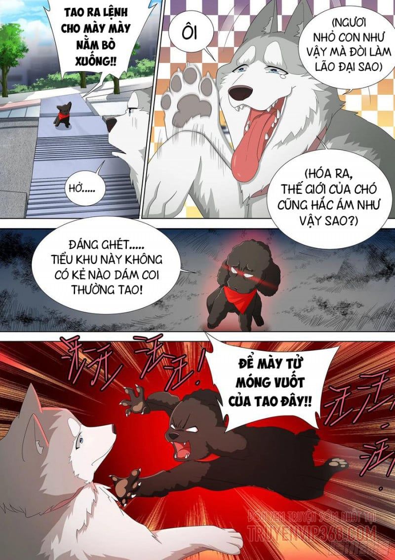 đọc truyện Trọng Sinh Thành Chó Của Nữ Thần Chương 9 ảnh 18 tại Thiên Thai Truyện