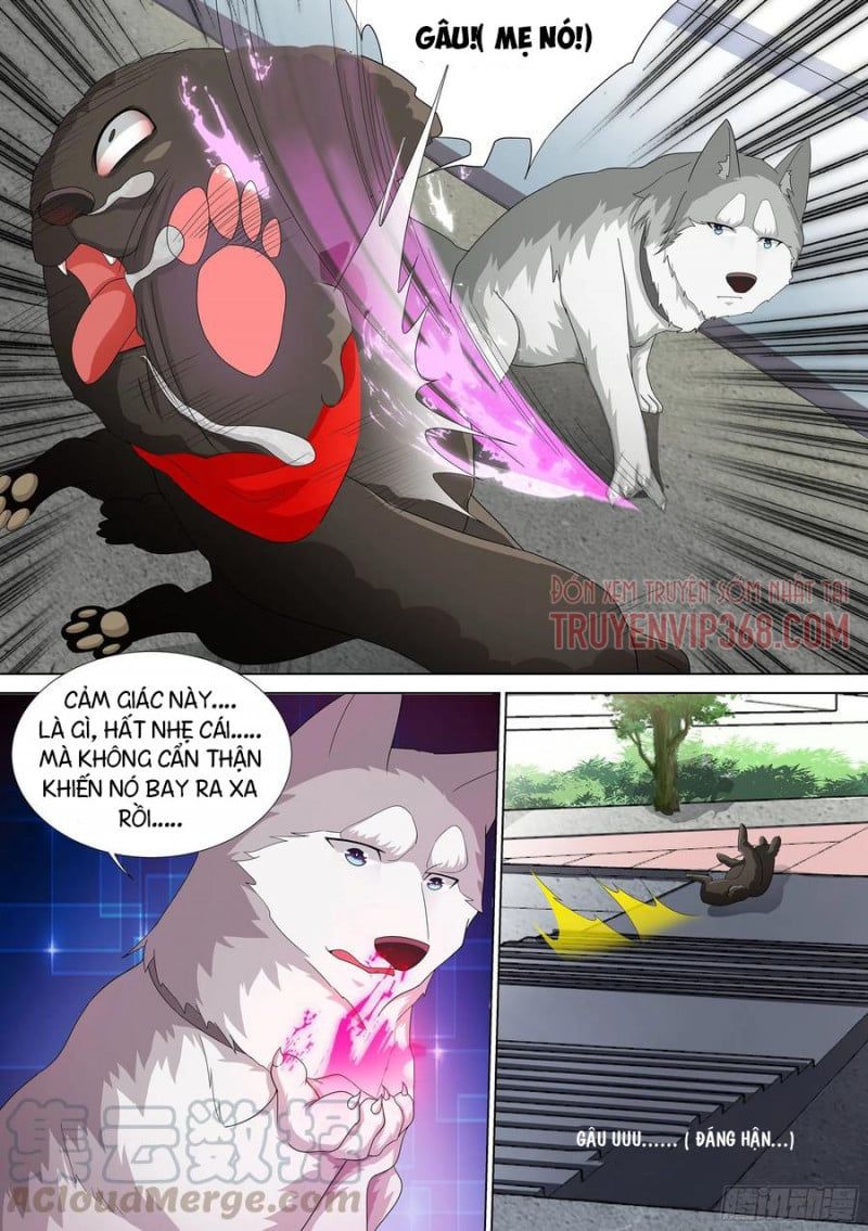 đọc truyện Trọng Sinh Thành Chó Của Nữ Thần Chương 9 ảnh 19 tại Thiên Thai Truyện