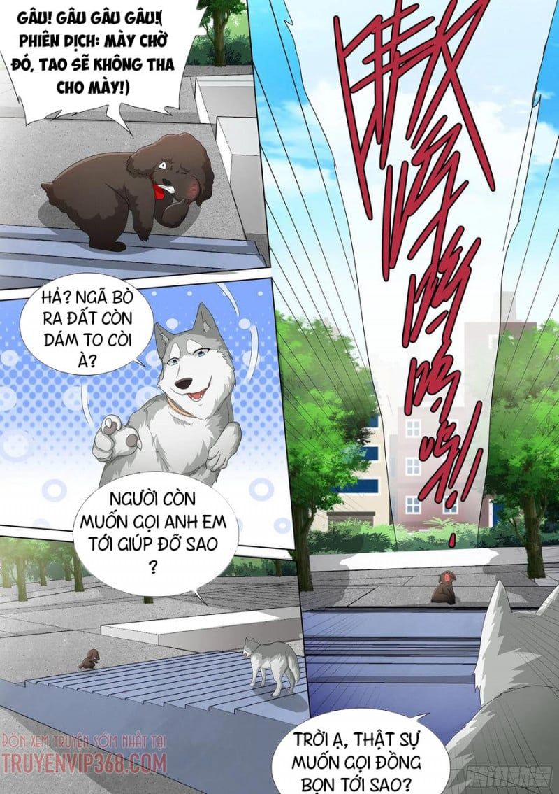 đọc truyện Trọng Sinh Thành Chó Của Nữ Thần Chương 9 ảnh 20 tại Thiên Thai Truyện