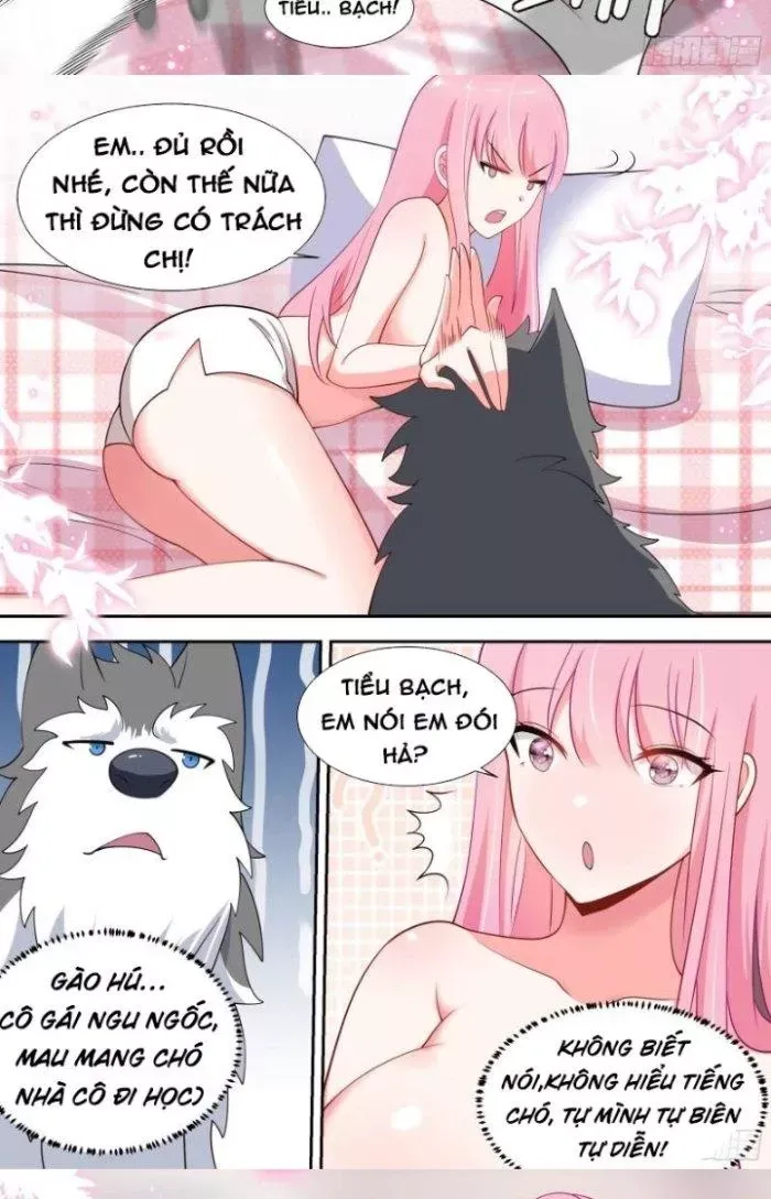 đọc truyện Trọng Sinh Thành Chó Của Nữ Thần Chương 90 ảnh 13 tại Thiên Thai Truyện