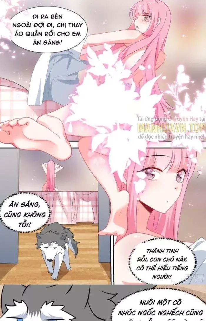 đọc truyện Trọng Sinh Thành Chó Của Nữ Thần Chương 90 ảnh 14 tại Thiên Thai Truyện