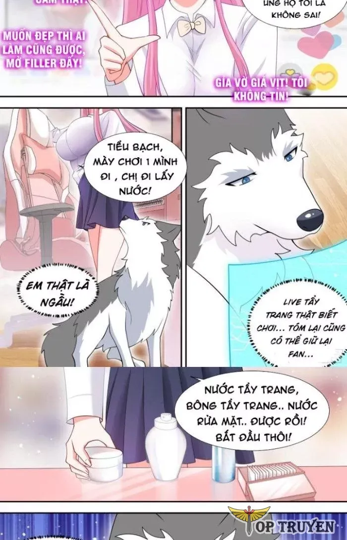 đọc truyện Trọng Sinh Thành Chó Của Nữ Thần Chương 90 ảnh 6 tại Thiên Thai Truyện