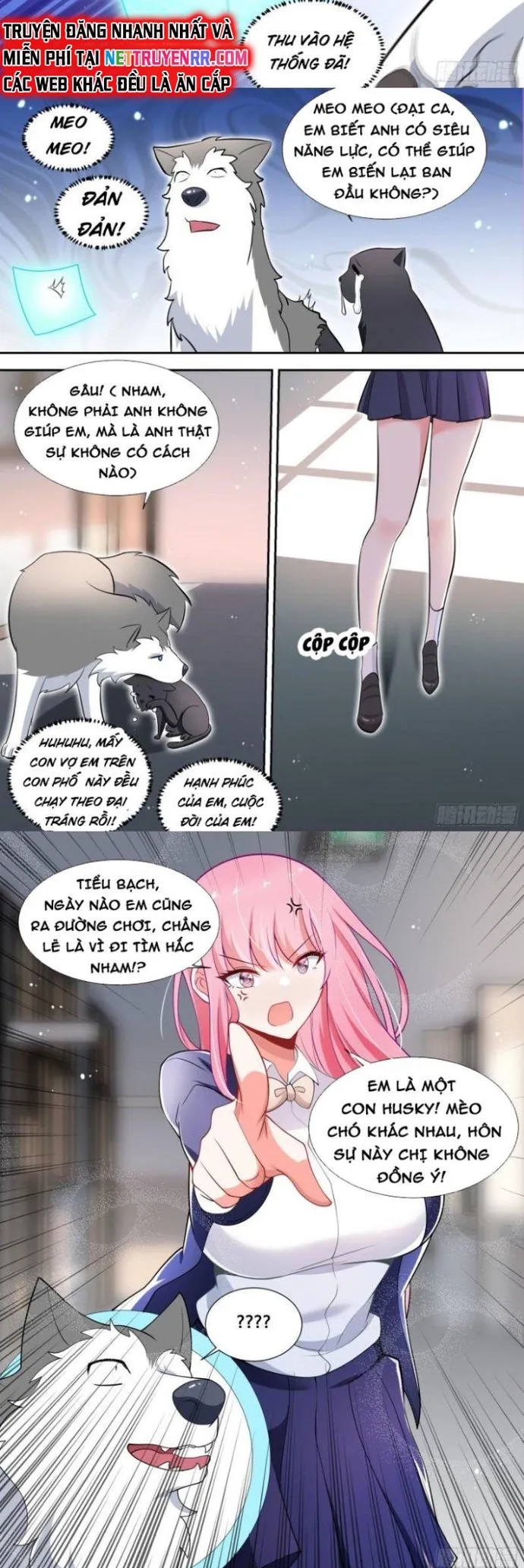 đọc truyện Trọng Sinh Thành Chó Của Nữ Thần Chương 95 ảnh 5 tại Thiên Thai Truyện