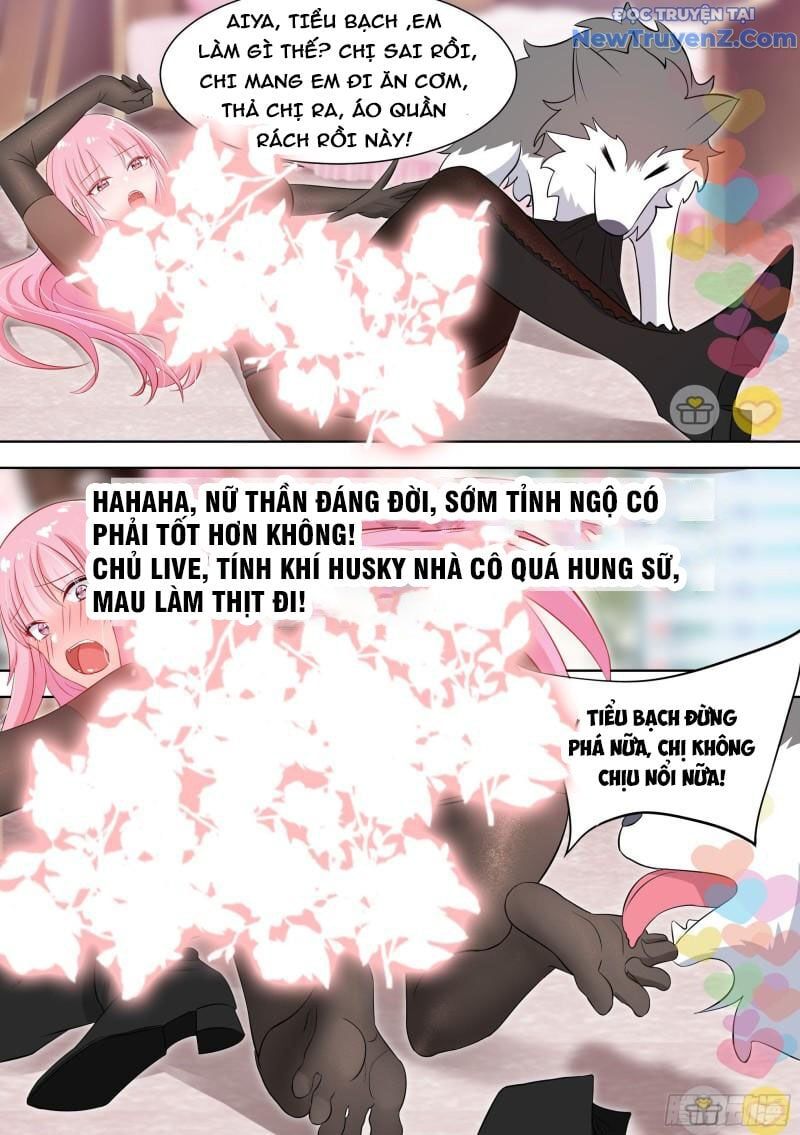 đọc truyện Trọng Sinh Thành Chó Của Nữ Thần Chương 98 ảnh 6 tại Thiên Thai Truyện