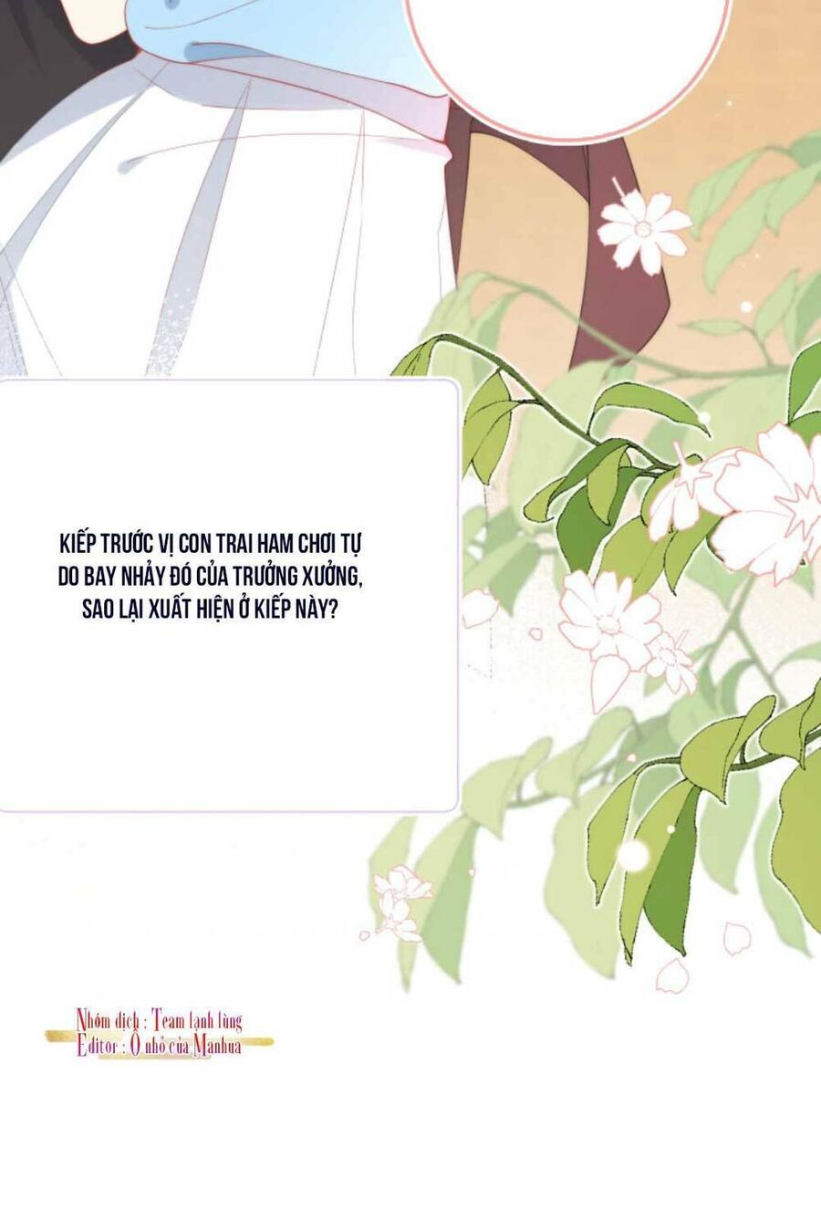 Trọng Sinh Trở Lại Làm Vợ Tổng Tài Chương 1 page 13 - Giả Dược