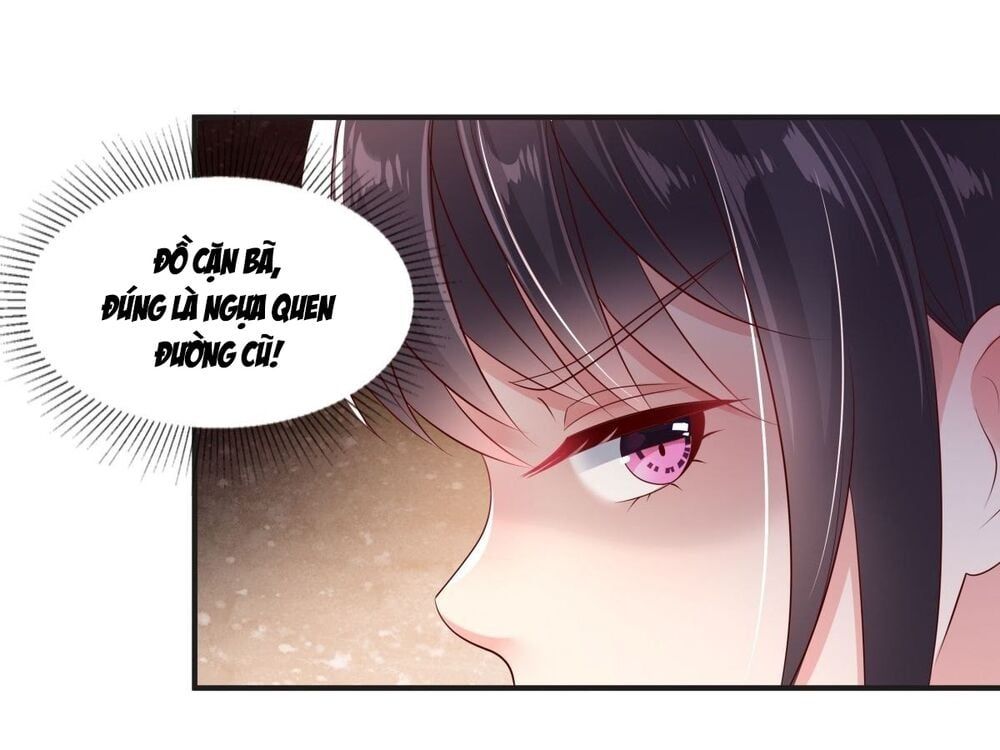 đọc truyện Trọng Sinh Trở Lại: Sủng Nịch Độc Nhất Vô Nhị Chương 10 ảnh 7 tại Thiên Thai Truyện