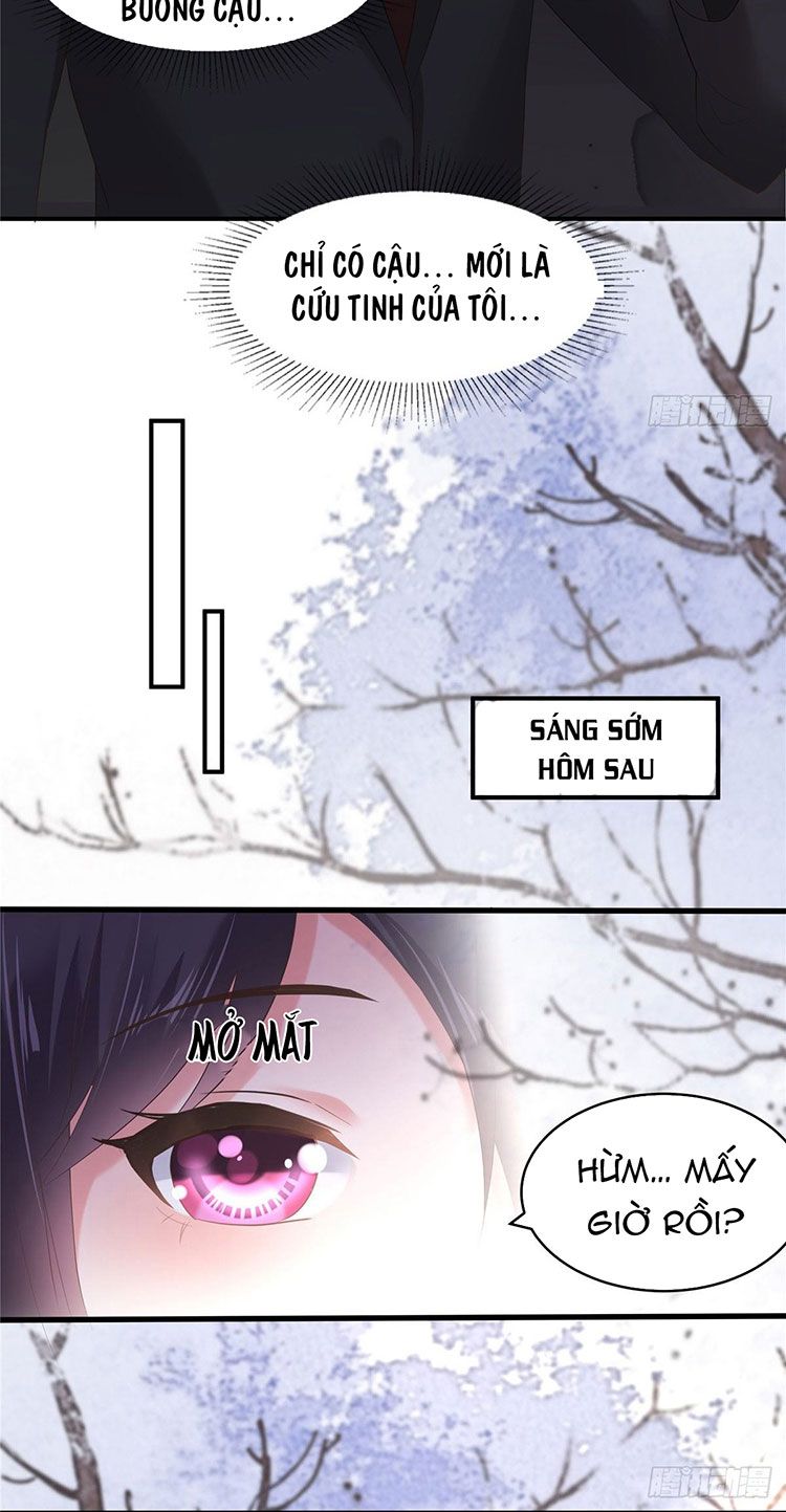 đọc truyện Trọng Sinh Trở Lại: Sủng Nịch Độc Nhất Vô Nhị Chương 102 ảnh 11 tại Thiên Thai Truyện