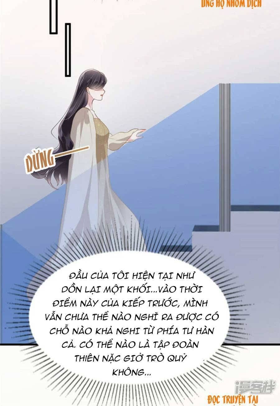 đọc truyện Trọng Sinh Trở Lại: Sủng Nịch Độc Nhất Vô Nhị Chương 201 ảnh 8 tại Thiên Thai Truyện