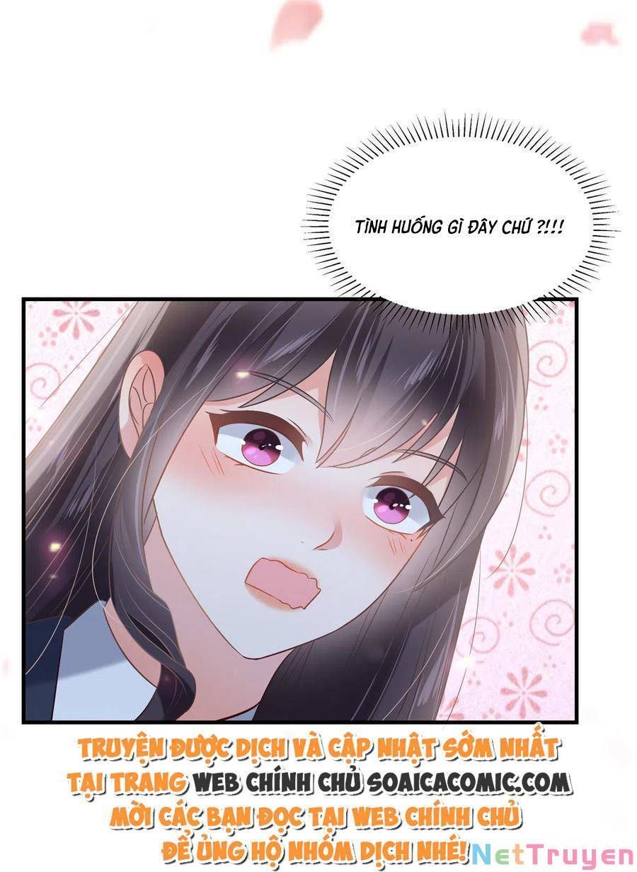 đọc truyện Trọng Sinh Trở Lại: Sủng Nịch Độc Nhất Vô Nhị Chương 225 ảnh 5 tại Thiên Thai Truyện