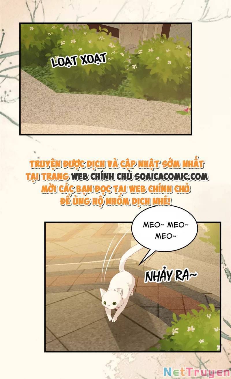 đọc truyện Trọng Sinh Trở Lại: Sủng Nịch Độc Nhất Vô Nhị Chương 226 ảnh 19 tại Thiên Thai Truyện