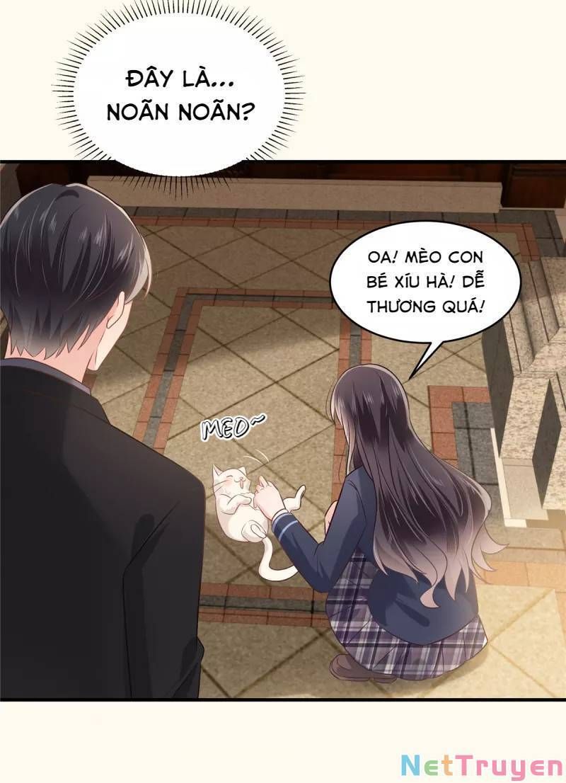 đọc truyện Trọng Sinh Trở Lại: Sủng Nịch Độc Nhất Vô Nhị Chương 226 ảnh 21 tại Thiên Thai Truyện