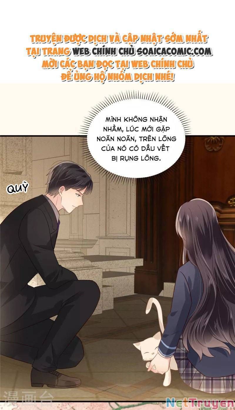 đọc truyện Trọng Sinh Trở Lại: Sủng Nịch Độc Nhất Vô Nhị Chương 226 ảnh 22 tại Thiên Thai Truyện