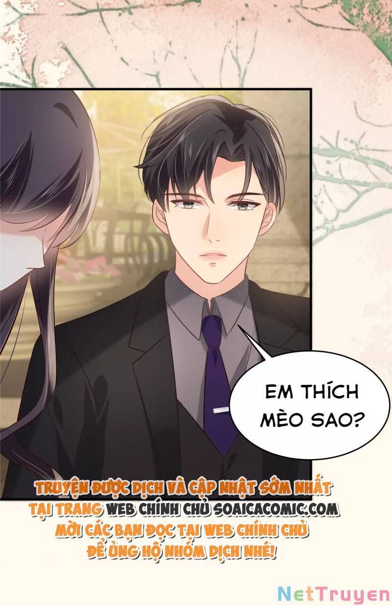 đọc truyện Trọng Sinh Trở Lại: Sủng Nịch Độc Nhất Vô Nhị Chương 226 ảnh 23 tại Thiên Thai Truyện