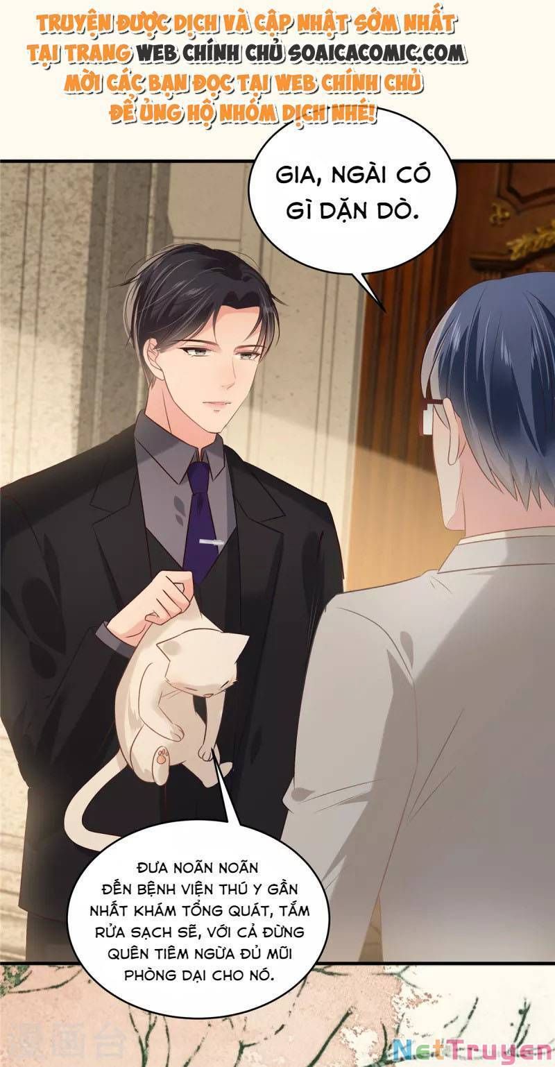 đọc truyện Trọng Sinh Trở Lại: Sủng Nịch Độc Nhất Vô Nhị Chương 226 ảnh 28 tại Thiên Thai Truyện