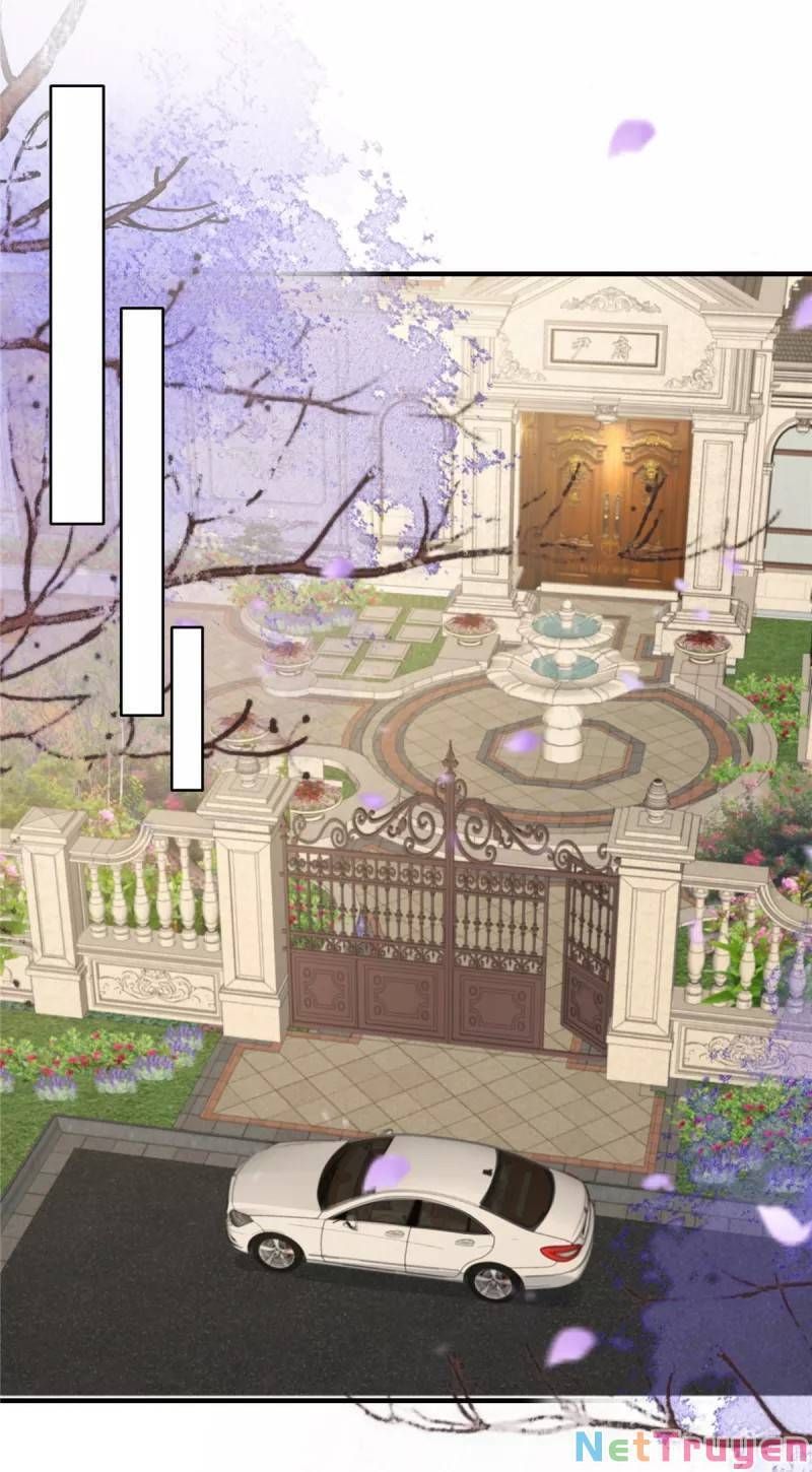 đọc truyện Trọng Sinh Trở Lại: Sủng Nịch Độc Nhất Vô Nhị Chương 226 ảnh 11 tại Thiên Thai Truyện