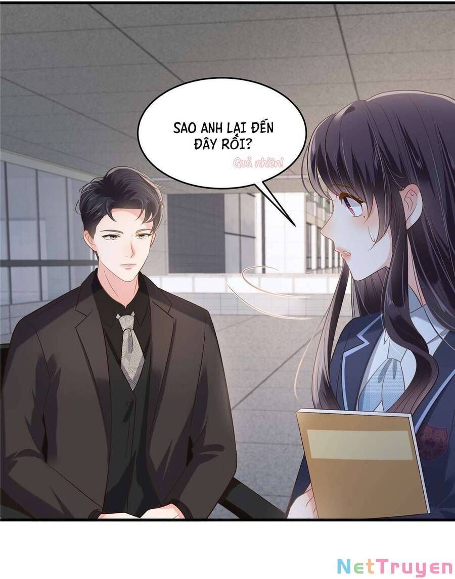 đọc truyện Trọng Sinh Trở Lại: Sủng Nịch Độc Nhất Vô Nhị Chương 230 ảnh 20 tại Thiên Thai Truyện