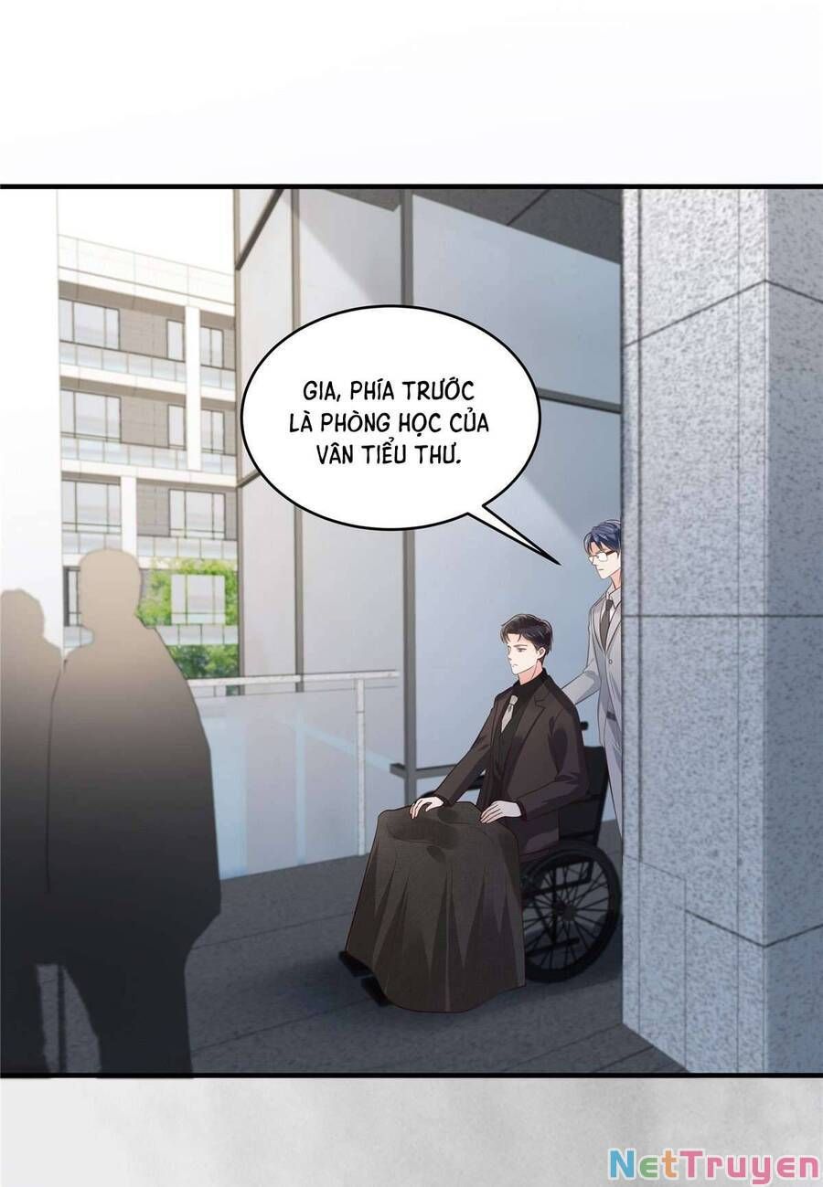 đọc truyện Trọng Sinh Trở Lại: Sủng Nịch Độc Nhất Vô Nhị Chương 230 ảnh 10 tại Thiên Thai Truyện