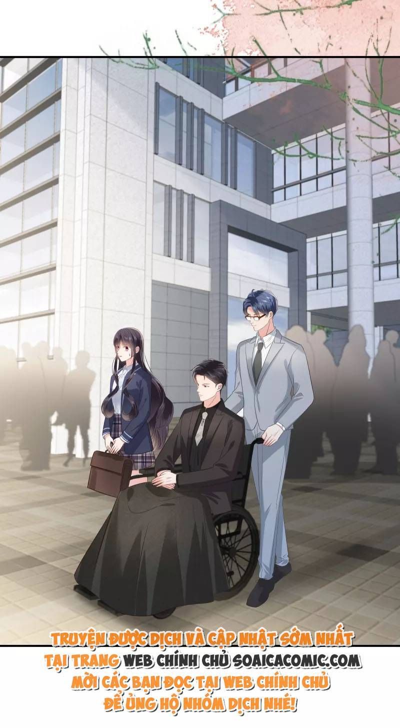 đọc truyện Trọng Sinh Trở Lại: Sủng Nịch Độc Nhất Vô Nhị Chương 235 ảnh 12 tại Thiên Thai Truyện