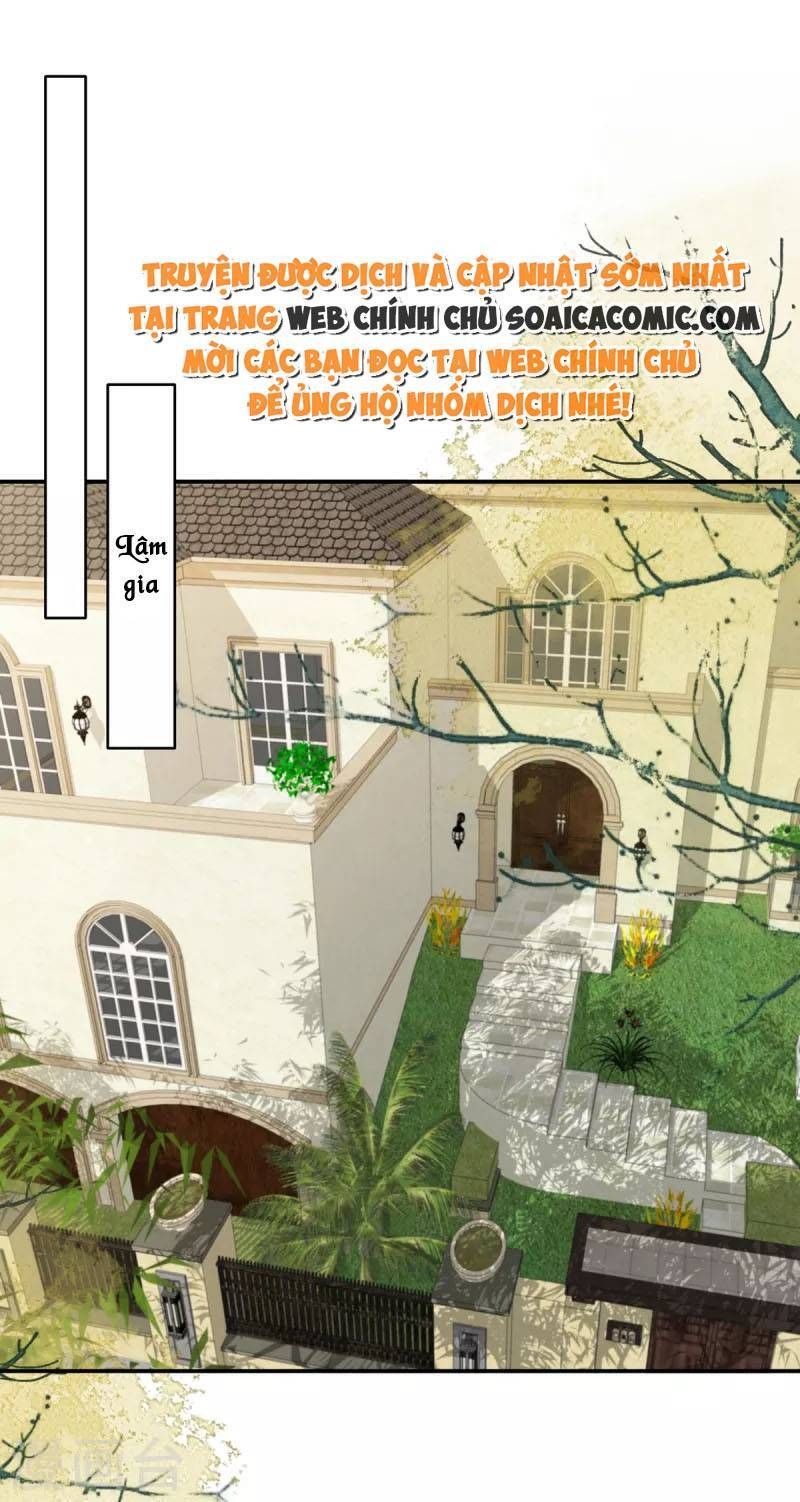 đọc truyện Trọng Sinh Trở Lại: Sủng Nịch Độc Nhất Vô Nhị Chương 235 ảnh 4 tại Thiên Thai Truyện