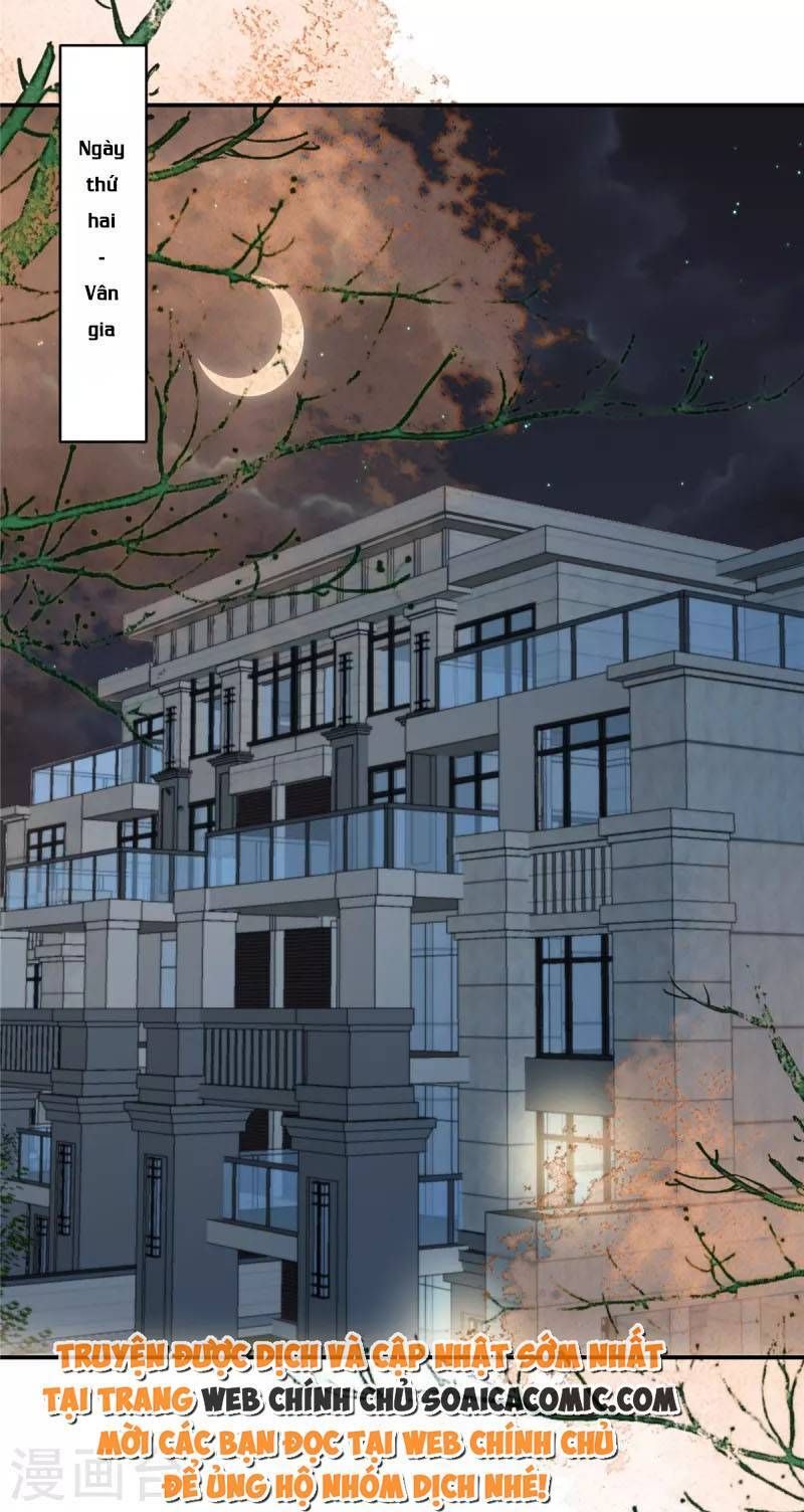 đọc truyện Trọng Sinh Trở Lại: Sủng Nịch Độc Nhất Vô Nhị Chương 239 ảnh 8 tại Thiên Thai Truyện