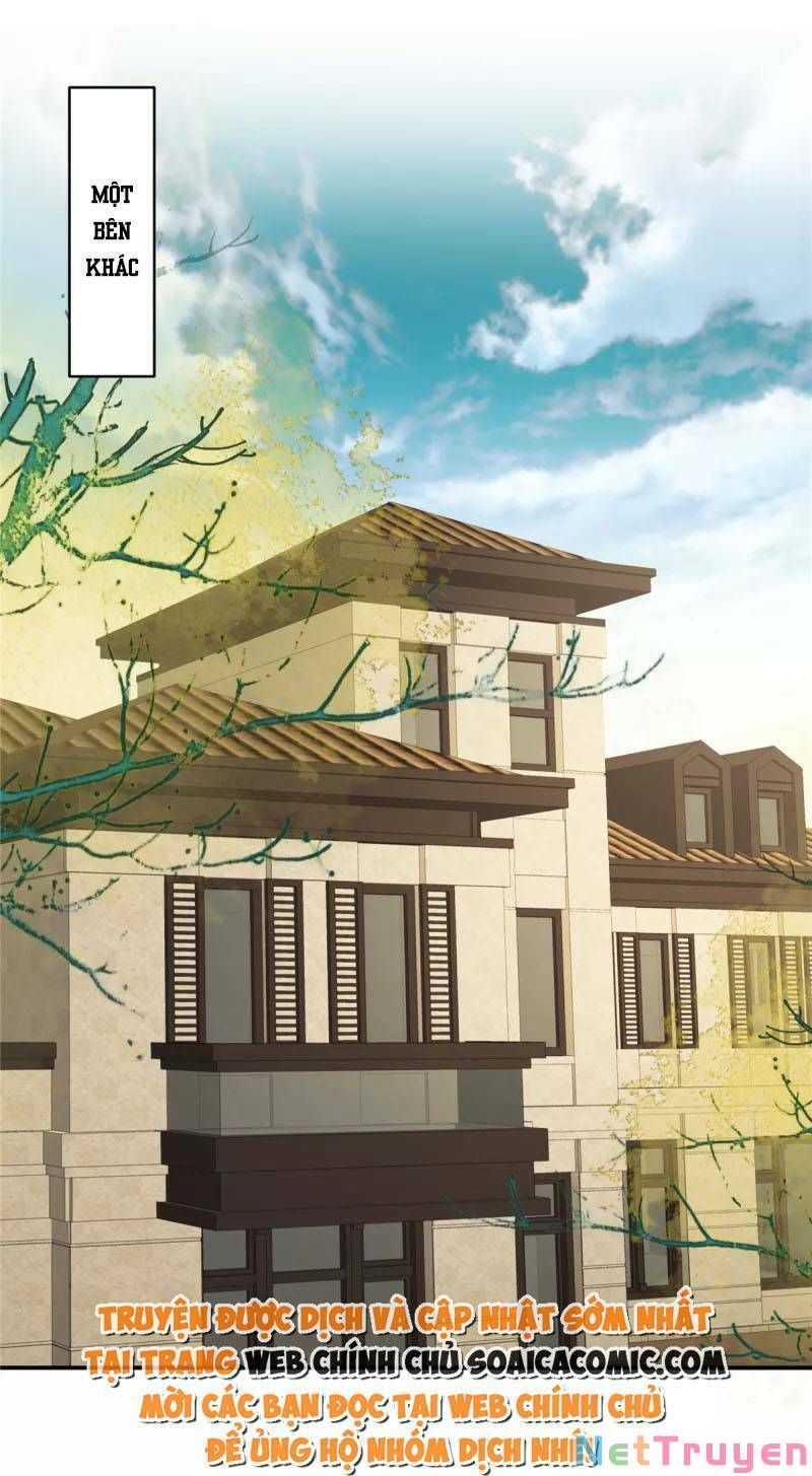 đọc truyện Trọng Sinh Trở Lại: Sủng Nịch Độc Nhất Vô Nhị Chương 241 ảnh 4 tại Thiên Thai Truyện