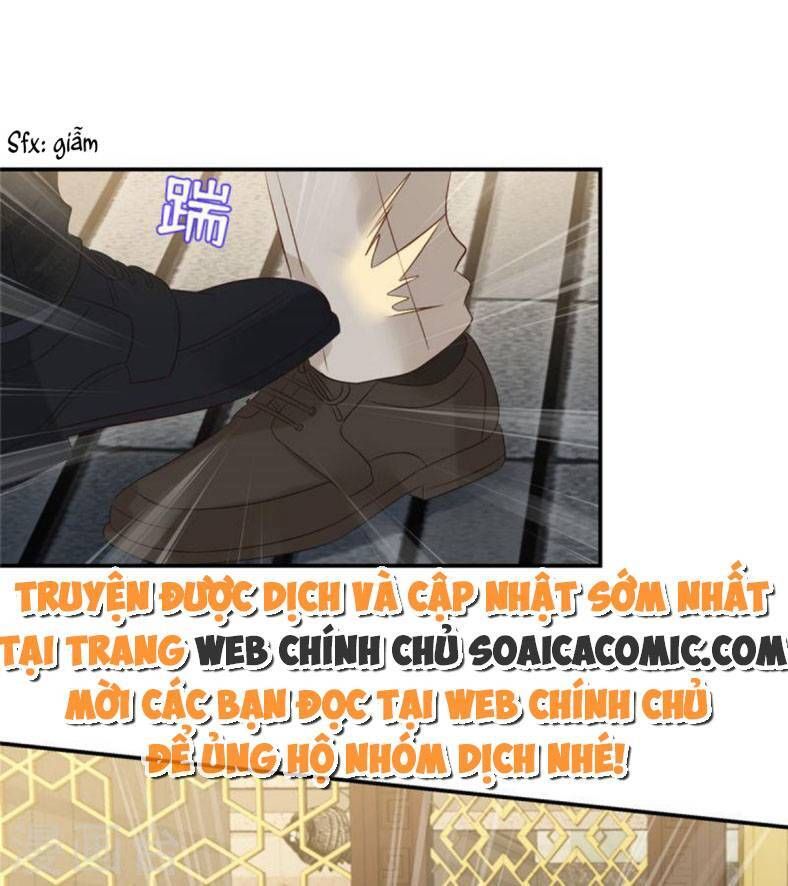 đọc truyện Trọng Sinh Trở Lại: Sủng Nịch Độc Nhất Vô Nhị Chương 255 ảnh 14 tại Thiên Thai Truyện