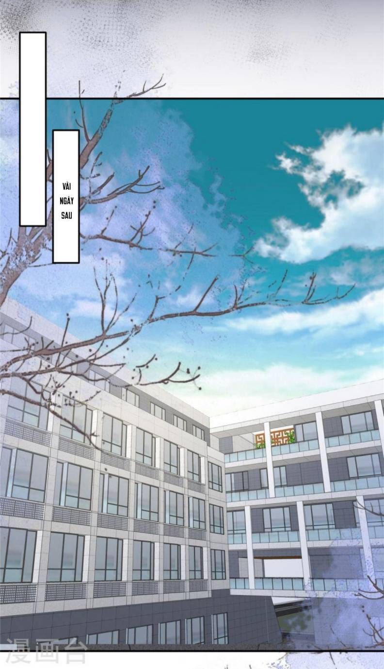 đọc truyện Trọng Sinh Trở Lại: Sủng Nịch Độc Nhất Vô Nhị Chương 257 ảnh 19 tại Thiên Thai Truyện