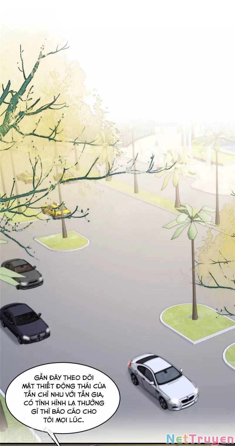 đọc truyện Trọng Sinh Trở Lại: Sủng Nịch Độc Nhất Vô Nhị Chương 261 ảnh 21 tại Thiên Thai Truyện