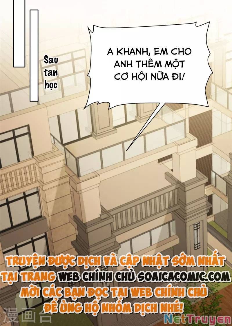 đọc truyện Trọng Sinh Trở Lại: Sủng Nịch Độc Nhất Vô Nhị Chương 261 ảnh 24 tại Thiên Thai Truyện