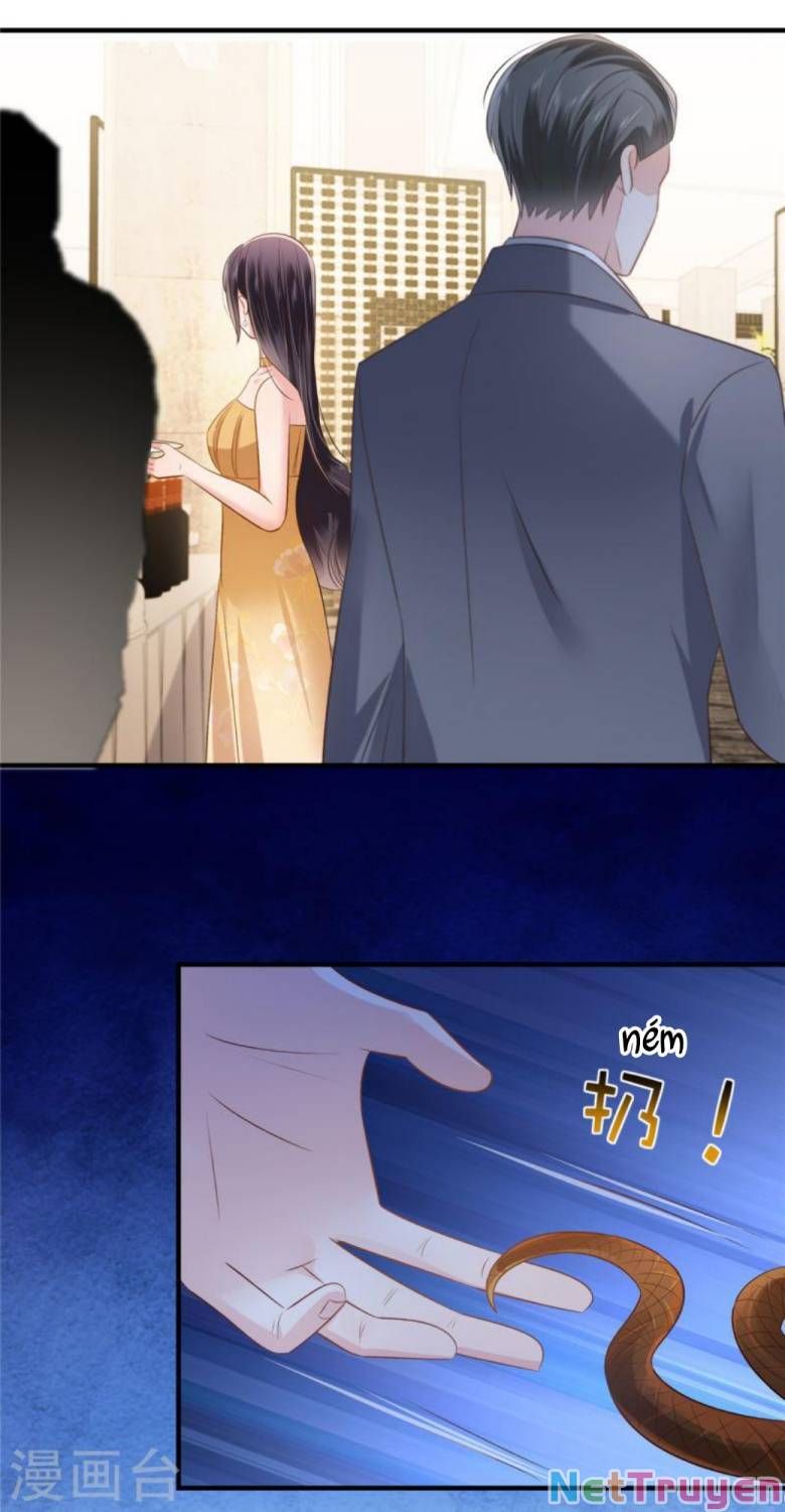 đọc truyện Trọng Sinh Trở Lại: Sủng Nịch Độc Nhất Vô Nhị Chương 264 ảnh 18 tại Thiên Thai Truyện