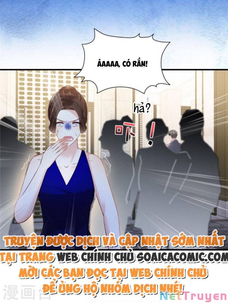 đọc truyện Trọng Sinh Trở Lại: Sủng Nịch Độc Nhất Vô Nhị Chương 264 ảnh 19 tại Thiên Thai Truyện