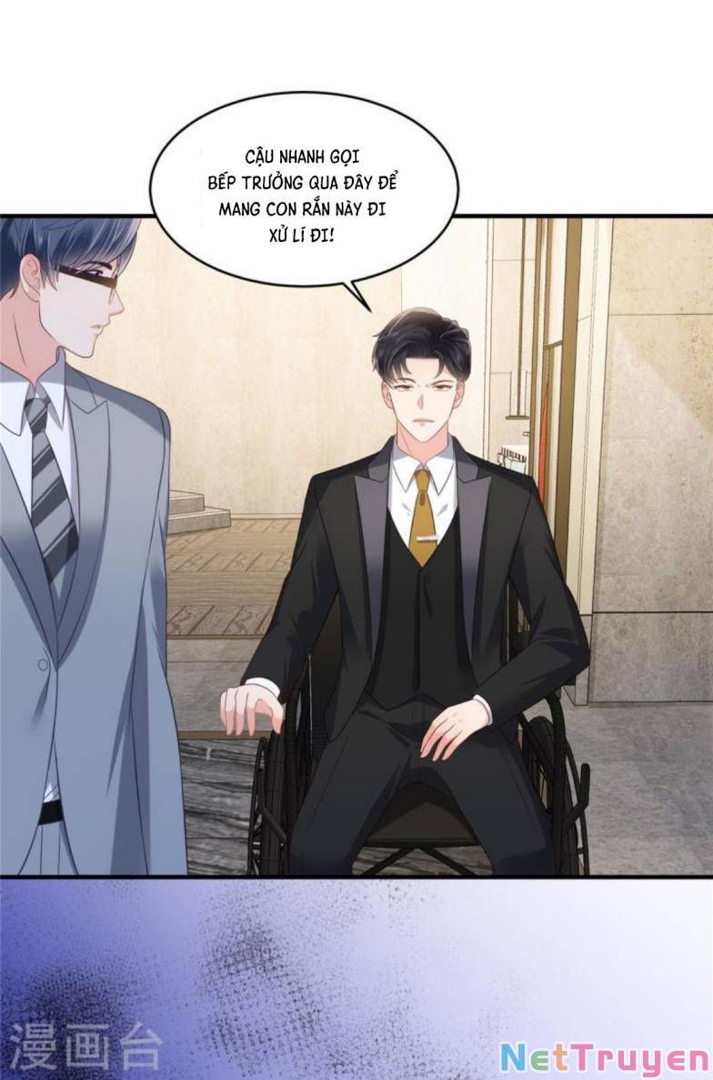 đọc truyện Trọng Sinh Trở Lại: Sủng Nịch Độc Nhất Vô Nhị Chương 265 ảnh 14 tại Thiên Thai Truyện