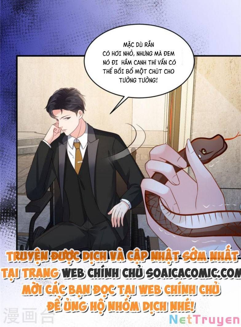 đọc truyện Trọng Sinh Trở Lại: Sủng Nịch Độc Nhất Vô Nhị Chương 265 ảnh 15 tại Thiên Thai Truyện