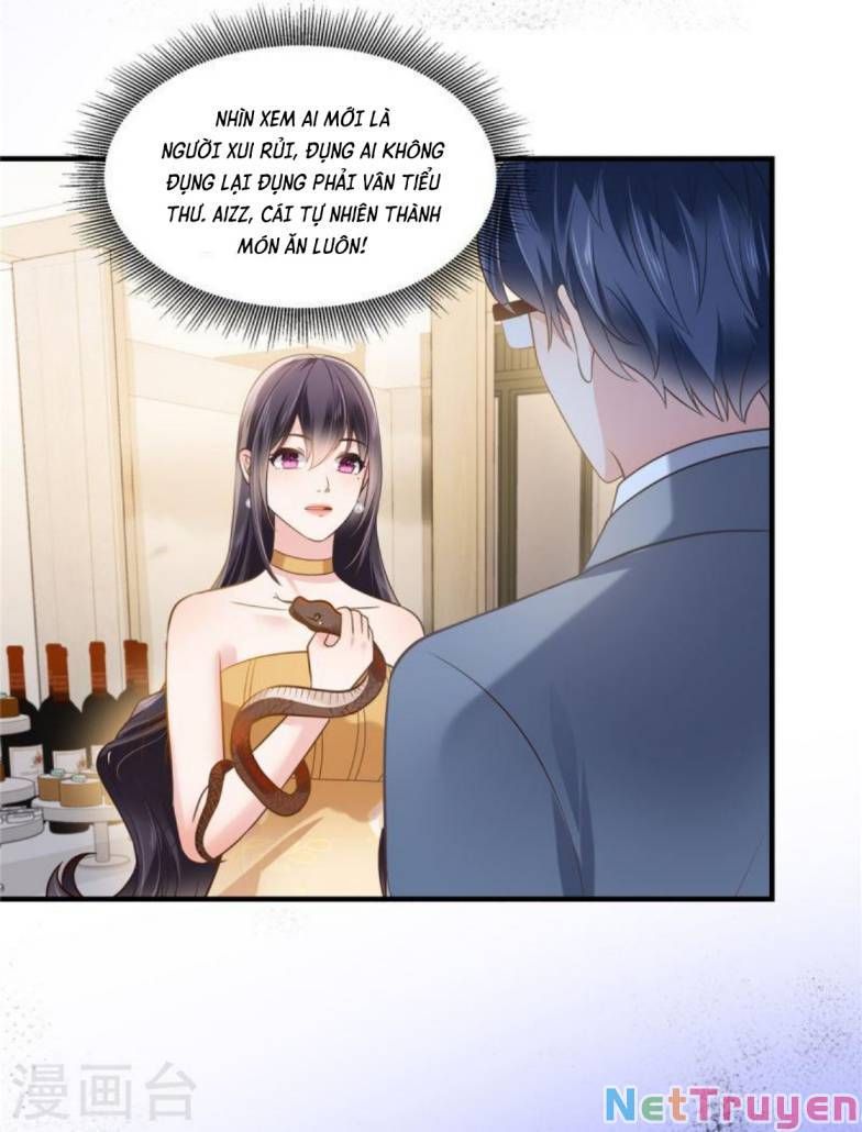 đọc truyện Trọng Sinh Trở Lại: Sủng Nịch Độc Nhất Vô Nhị Chương 265 ảnh 16 tại Thiên Thai Truyện