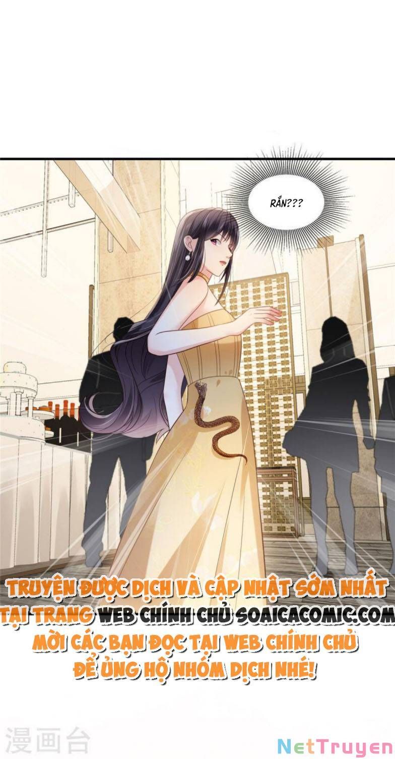 đọc truyện Trọng Sinh Trở Lại: Sủng Nịch Độc Nhất Vô Nhị Chương 265 ảnh 5 tại Thiên Thai Truyện