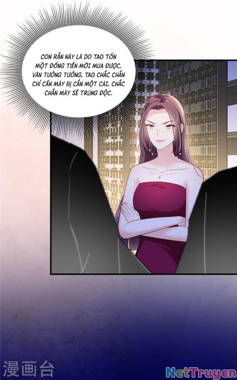 đọc truyện Trọng Sinh Trở Lại: Sủng Nịch Độc Nhất Vô Nhị Chương 265 ảnh 6 tại Thiên Thai Truyện