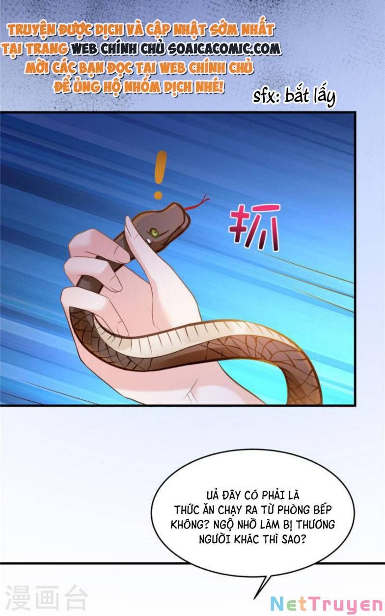 đọc truyện Trọng Sinh Trở Lại: Sủng Nịch Độc Nhất Vô Nhị Chương 265 ảnh 9 tại Thiên Thai Truyện