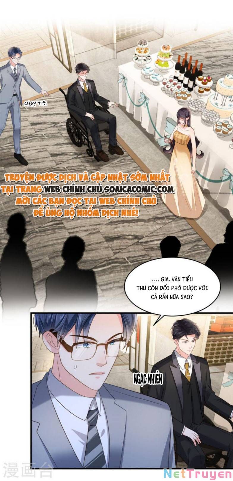 đọc truyện Trọng Sinh Trở Lại: Sủng Nịch Độc Nhất Vô Nhị Chương 265 ảnh 11 tại Thiên Thai Truyện