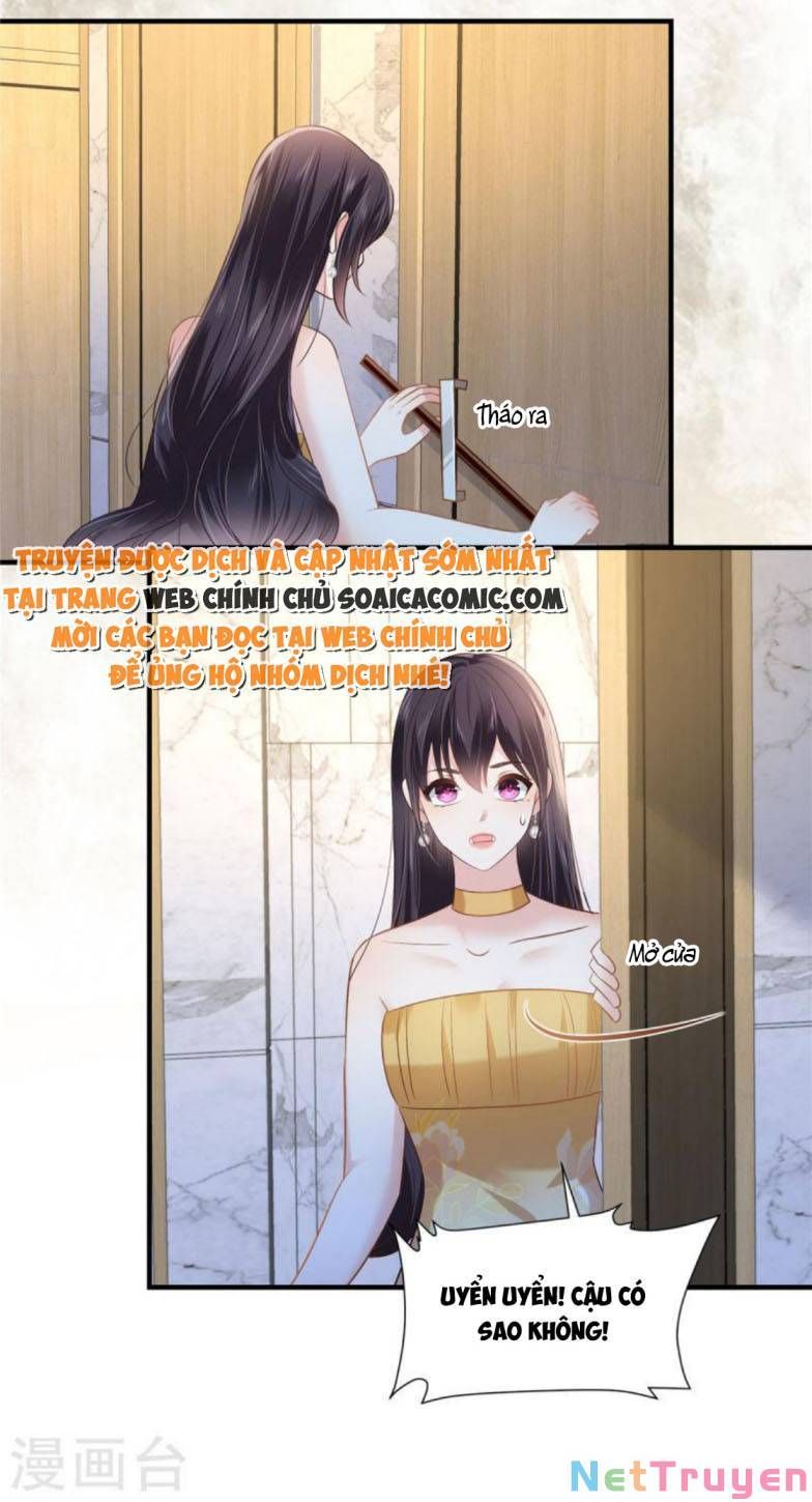 đọc truyện Trọng Sinh Trở Lại: Sủng Nịch Độc Nhất Vô Nhị Chương 267 ảnh 17 tại Thiên Thai Truyện