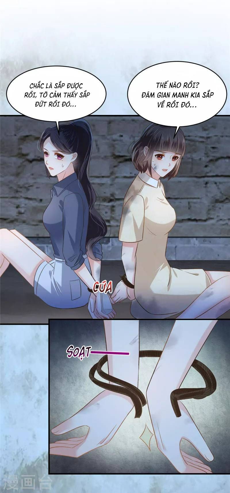 đọc truyện Trọng Sinh Trở Lại: Sủng Nịch Độc Nhất Vô Nhị Chương 271 ảnh 25 tại Thiên Thai Truyện