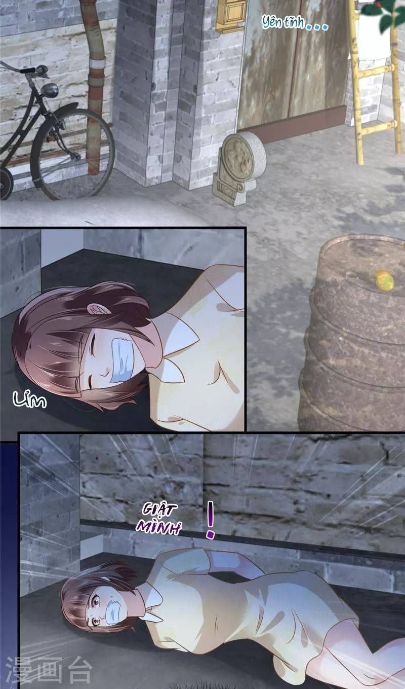 đọc truyện Trọng Sinh Trở Lại: Sủng Nịch Độc Nhất Vô Nhị Chương 271 ảnh 8 tại Thiên Thai Truyện