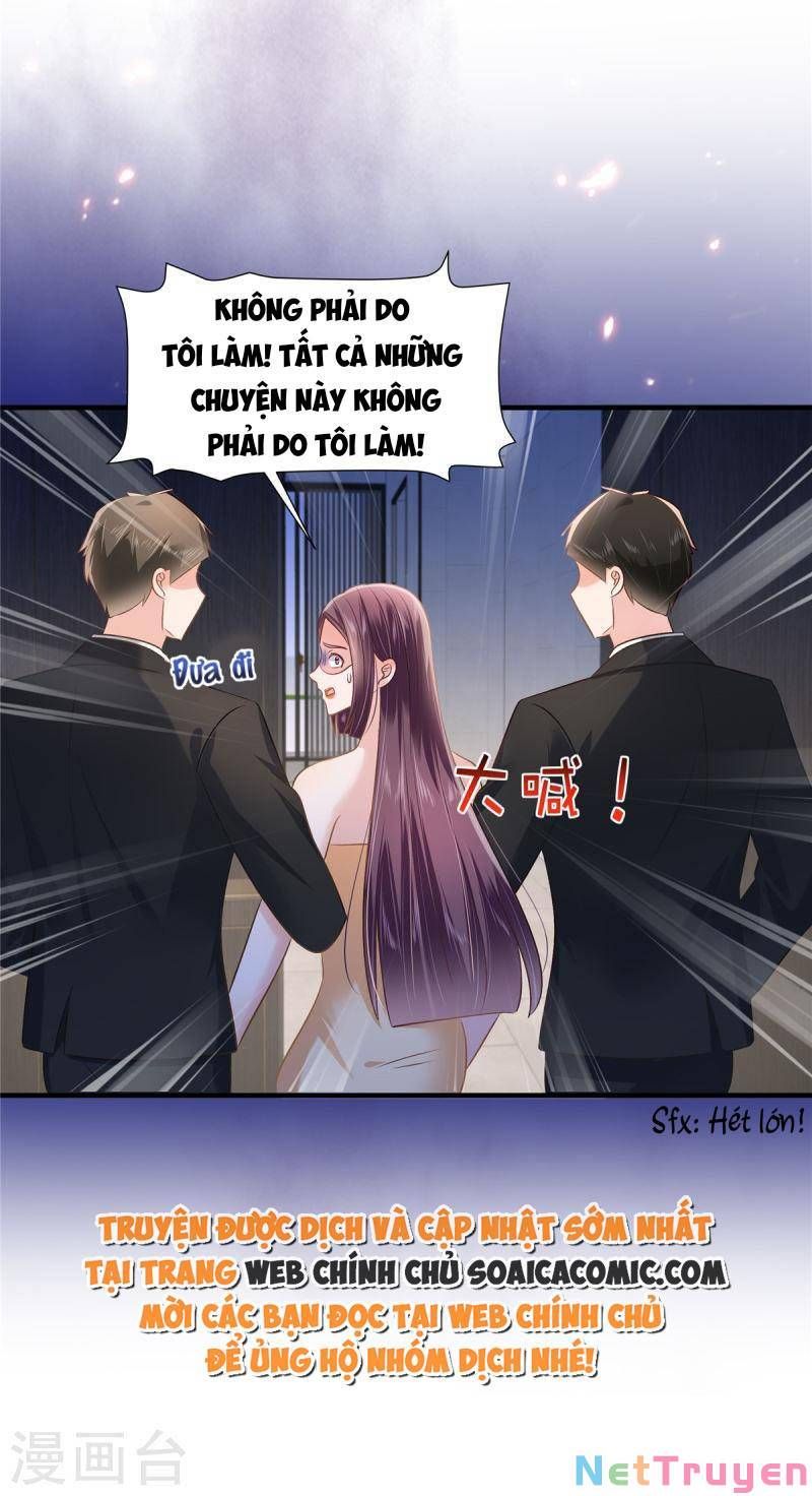 đọc truyện Trọng Sinh Trở Lại: Sủng Nịch Độc Nhất Vô Nhị Chương 280 ảnh 10 tại Thiên Thai Truyện