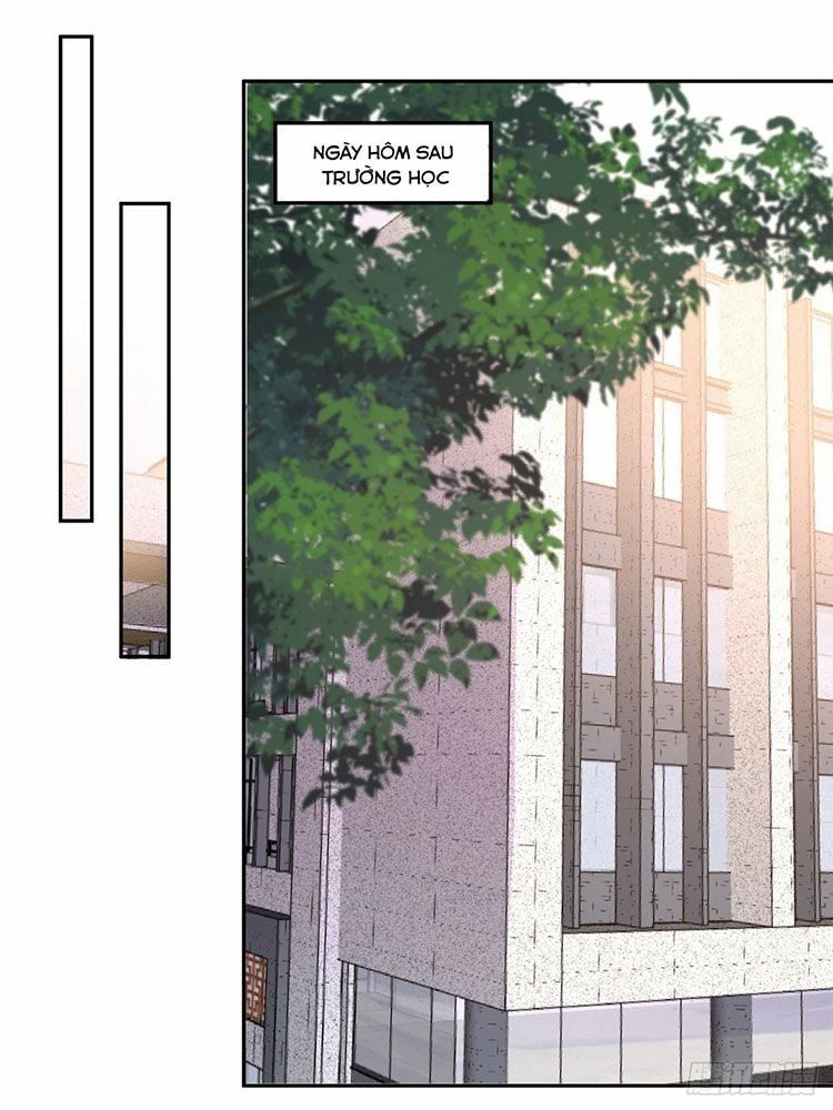 đọc truyện Trọng Sinh Trở Lại: Sủng Nịch Độc Nhất Vô Nhị Chương 33 ảnh 8 tại Thiên Thai Truyện